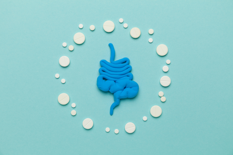 Prebiotics vs. Probiotics: What’s the Difference?