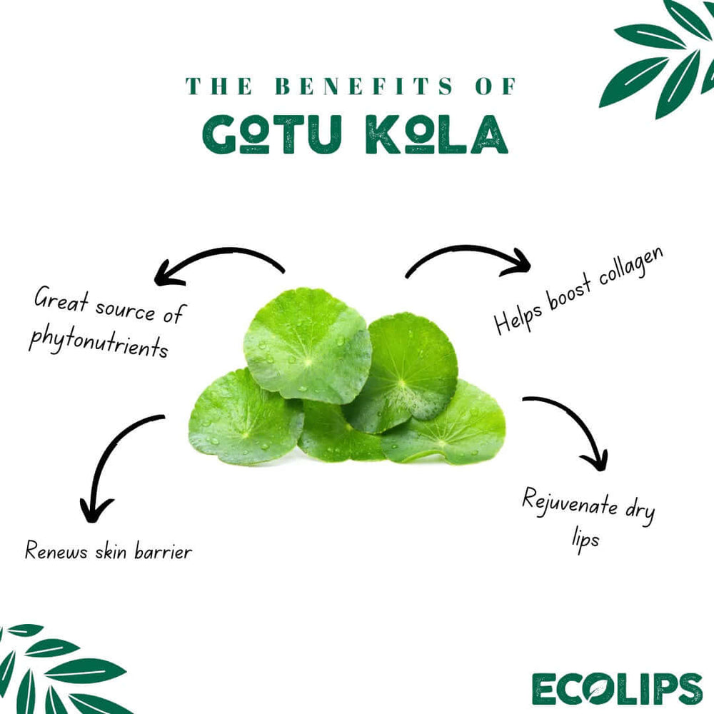 Buy Intensive Overnight Lip Mask | Blackberry UK online