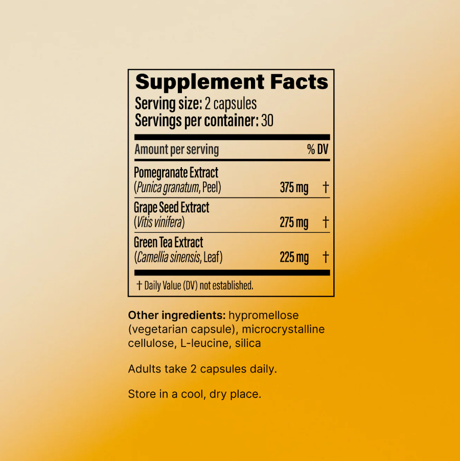 Polyphenol Booster - 60 Capsules | Pendulum UK online