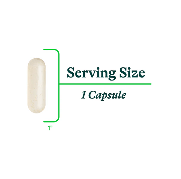 Buy Probiota HistaminX - 60 Veg Caps - Seeking Health UK online