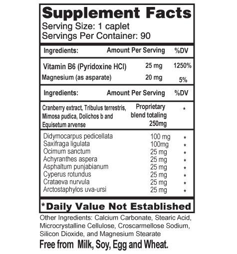 Buy Ayush Herbs Rentone 90 UK online