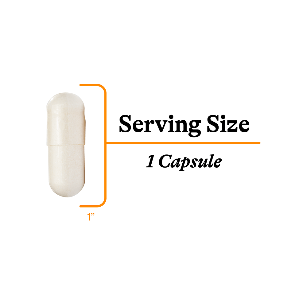 buy Acetyl-L-Carnitine | 90 Capsules online uk
