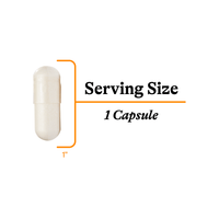 buy Acetyl-L-Carnitine | 90 Capsules online uk