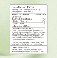 Amy Myers Leaky Gut Revive - Strawberry Lemonade UK online