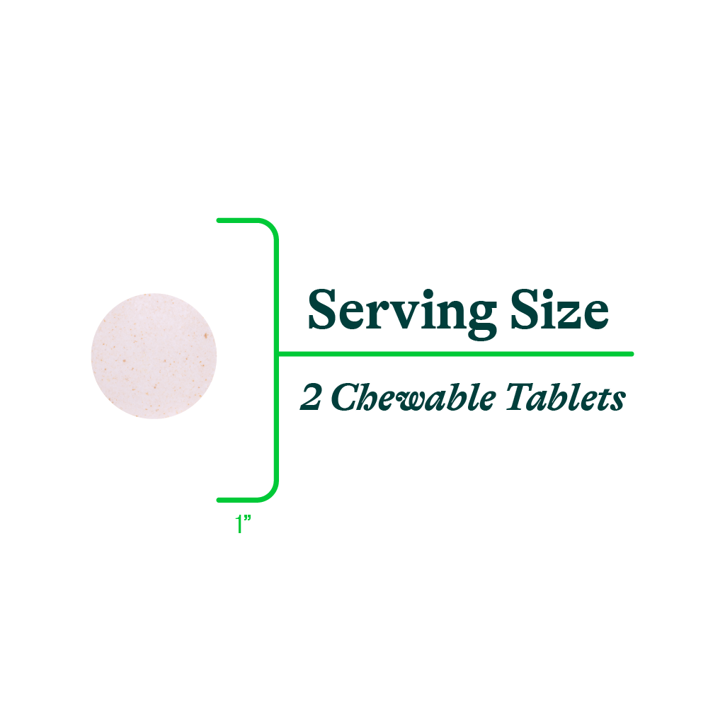 Buy Digestive Enzymes Chewable | 60 Tablets | Seeking Health UK