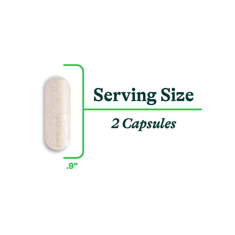 Digestive Enzymes | 60 Tablets | Seeking Health UK online