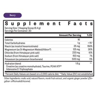 buy Optimal Electrolyte | Berry Flavour | 192g | Seeking Health online uk