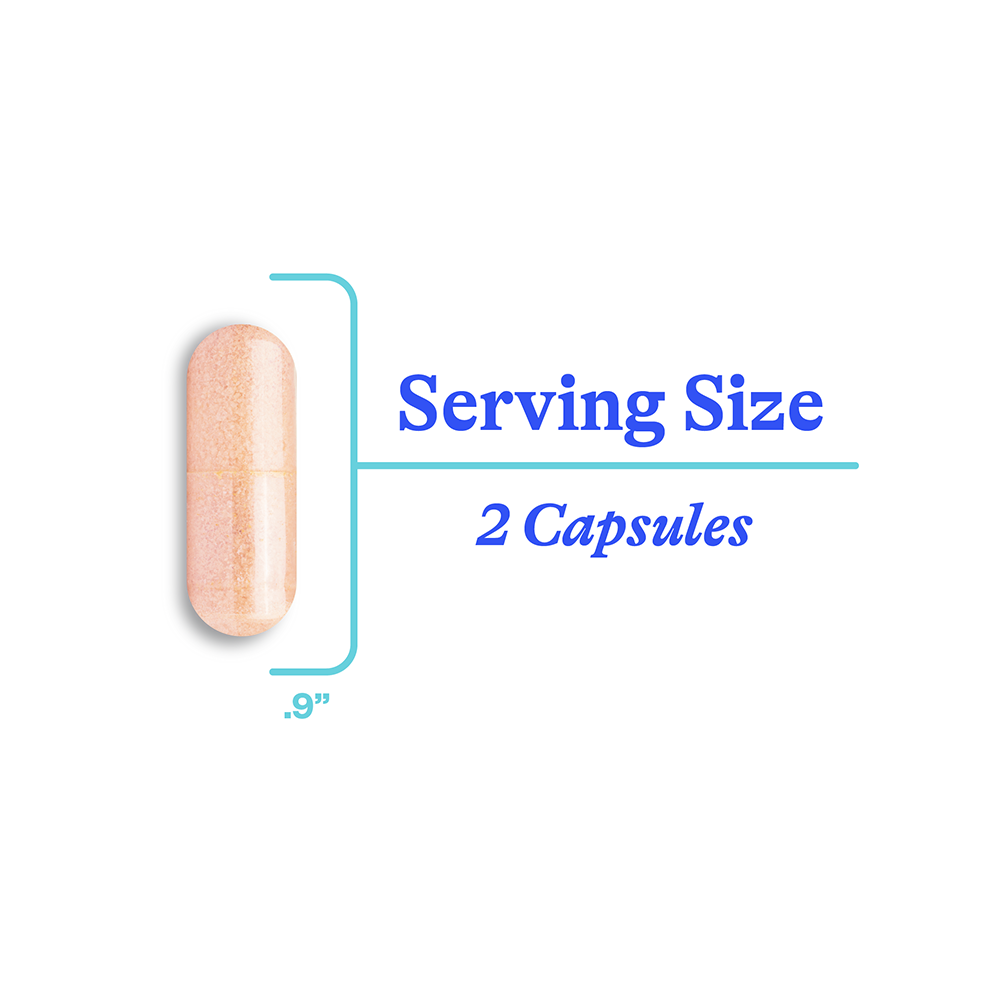 Seeking Health Estrogen Nutrients - 60 Capsules - Fast UK Shipping