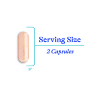 Seeking Health Estrogen Nutrients - 60 Capsules - Fast UK Shipping