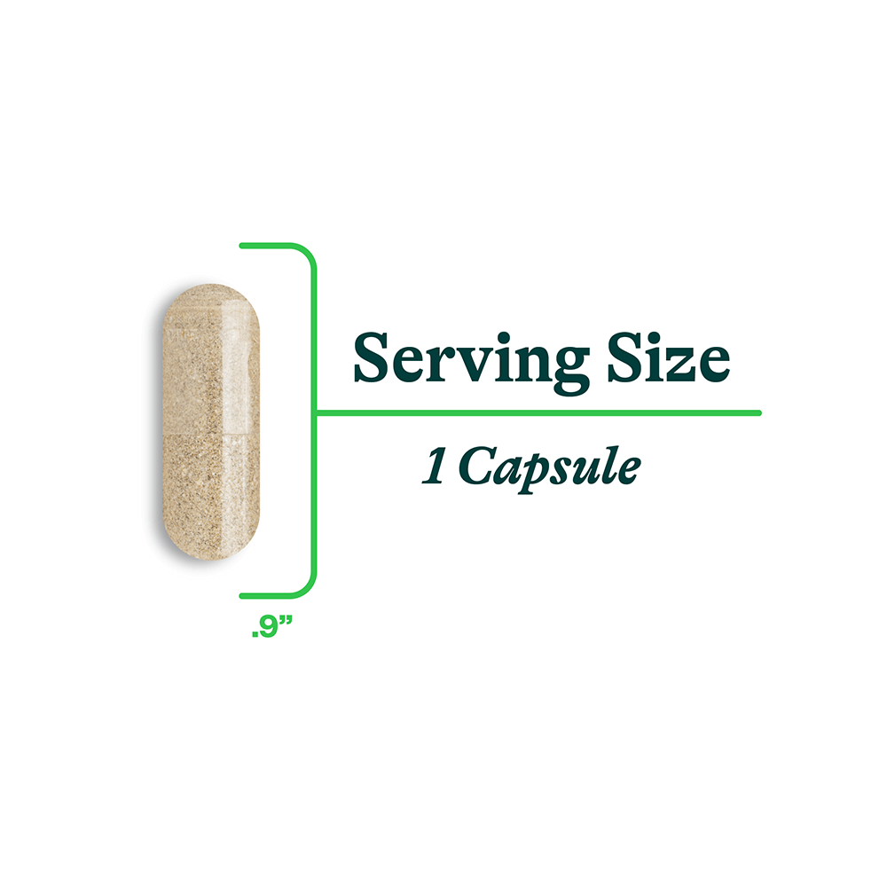 buy Bile Nutrients | 120 Capsules online uk