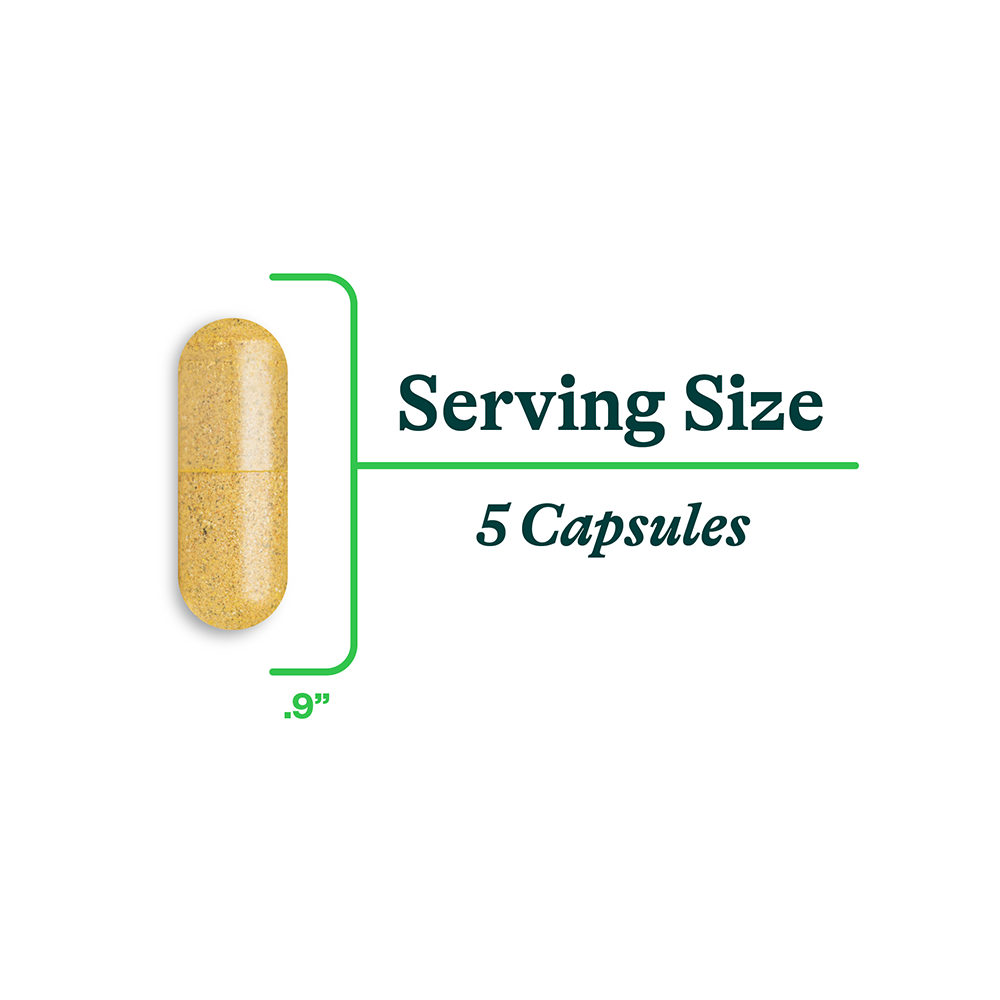 Gut Nutrients 150 Capsules | Seeking Health UK 