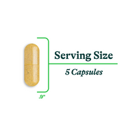Gut Nutrients 150 Capsules | Seeking Health UK 