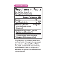 Buy Liposomal Glutathione (Tropical) | 120ml | Seeking Health UK