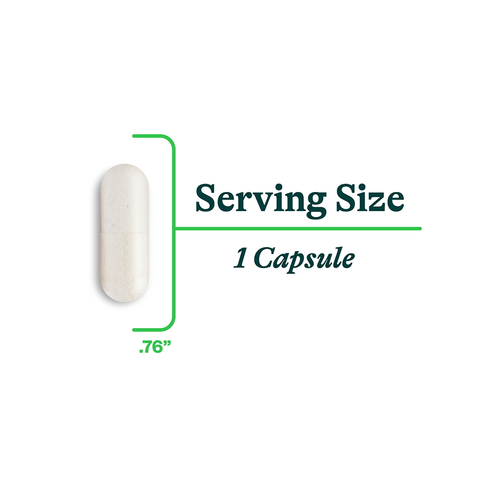 Buy Histamine Digest | 30 Capsules | Seeking Health UK online