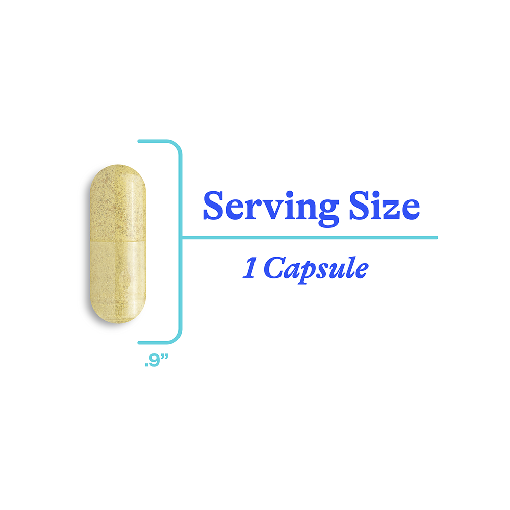 Buy HistaminX | 60 Capsules | Seeking Health UK