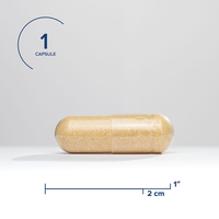 Buy Liver Nutrients | 60 Capsules | Seeking Health UK