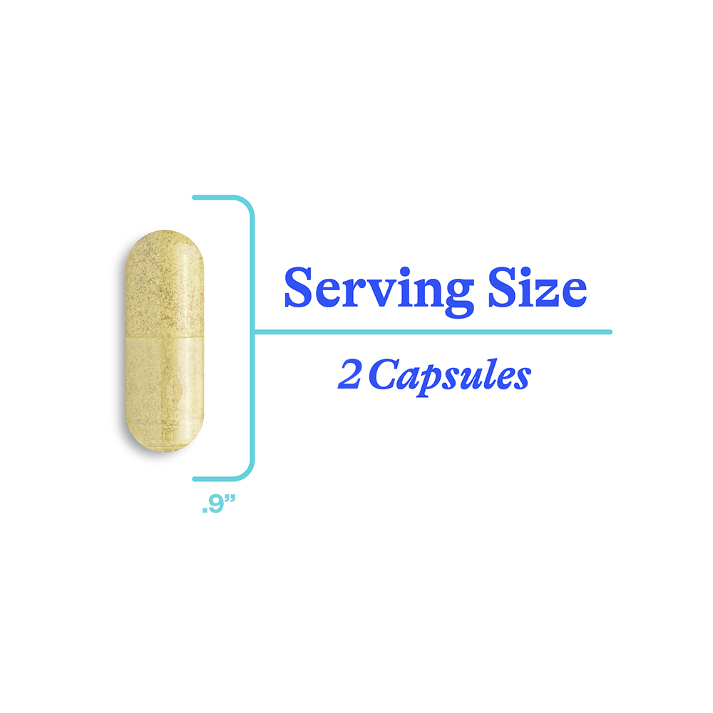 Seeking Health Mast Cell Nutrients - 60 Capsules - Fast UK Shipping