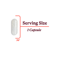 Buy Molybdenum 500 | 90 Capsules | Seeking Health UK