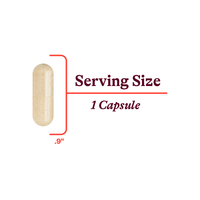 Seeking Health Multivitamin One Sensitive | 45 Capsules UK online