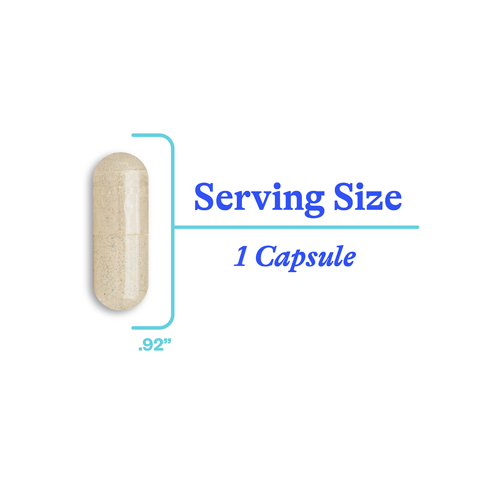 Buy Optimal Focus | 90 Capsules | Seeking Health UK online