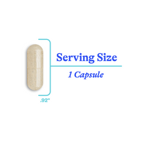 Buy Optimal Focus | 90 Capsules | Seeking Health UK online