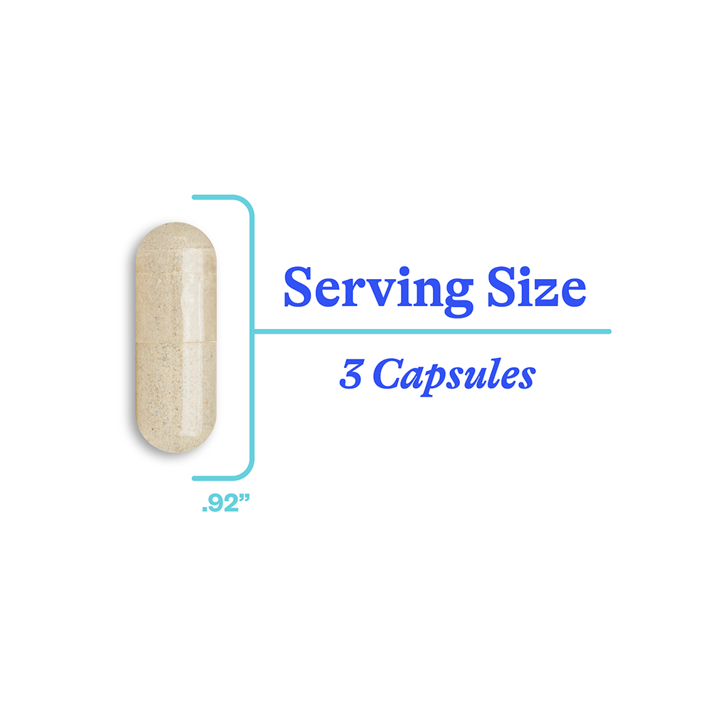 buy Optimal Focus | 90 Capsules online | seeking health uk