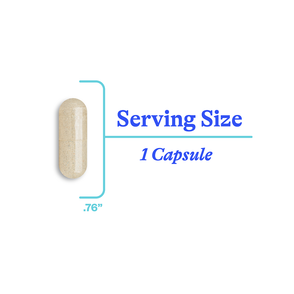 Phosphatidyl Serine | 150mg | Seeking Health