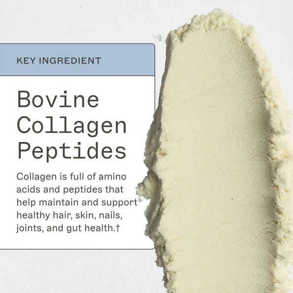 Amy Myers Paleo Protein | Double Chocolate | 20 Servings