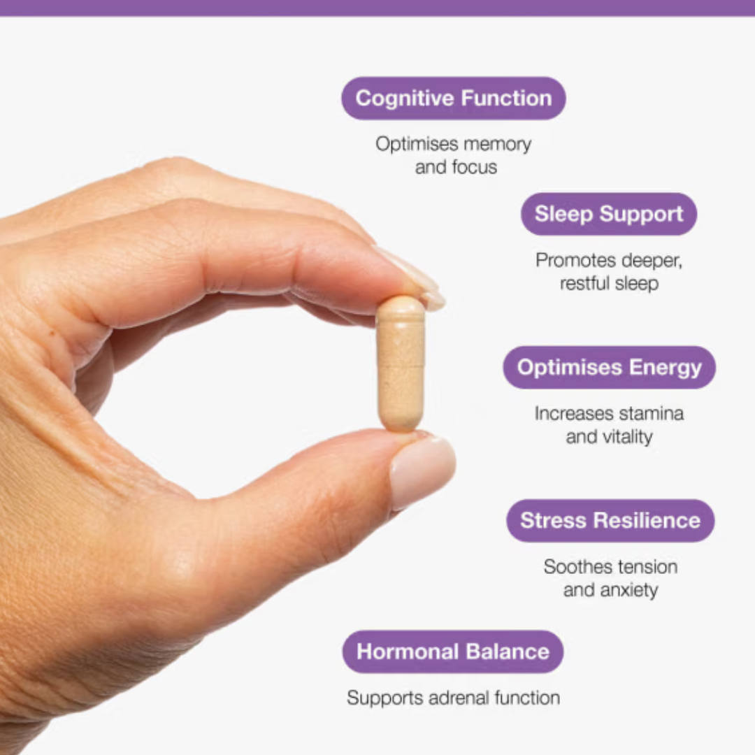 Ashwagandha 500mg | 60 Capsules