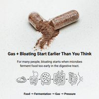 Atrantil UK  | 90 Capsules | KBS Research| Bloating and digestive support