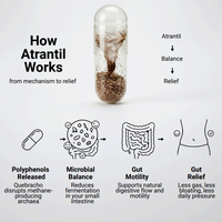 Atrantil UK  | 90 Capsules | KBS Research| Bloating and digestive support