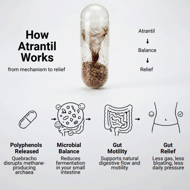 Atrantil UK  | 90 Capsules | KBS Research| Bloating and digestive support