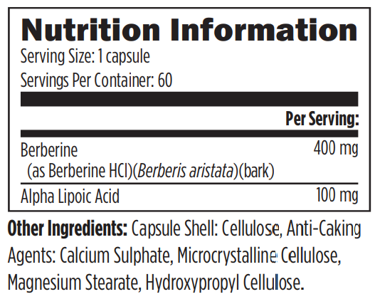 Buy Berberine Synergy | 60 Capsules | Designs For Health UK