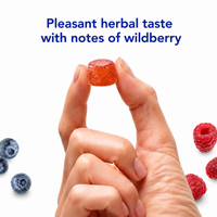 Biocidin Gummies – Botanical Microbiome Support - Biocidin Botanicals UK