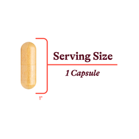 Buy B-Minus (B12 and Folate Free) | 100 vCapsules | Seeking Health UK