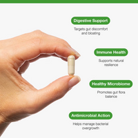 Buy Candex SIBO | 45 Capsules | metagenics UK online