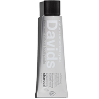 Buy Davids travel size premium toothpaste | charcoal + peppermint UK