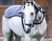 Full PEMF Package for Horses - Blanket, Shoulder, Neck, Rear Leg, Front Leg