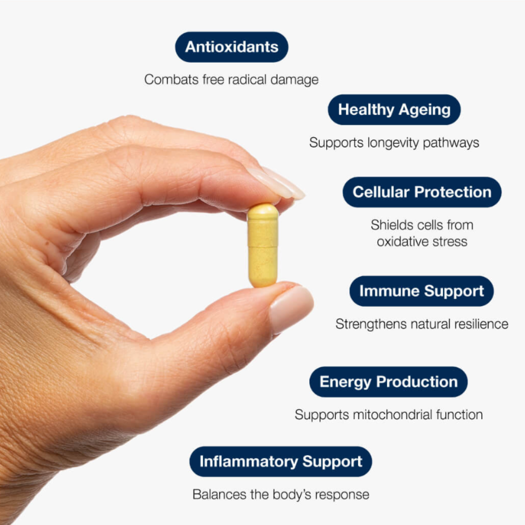 Buy Glutathione Plus - 60 Capsules - Metagenics UK online
