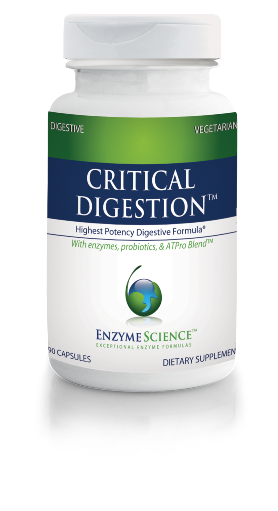 Buy Enzyme Science - Critical Digestion UK