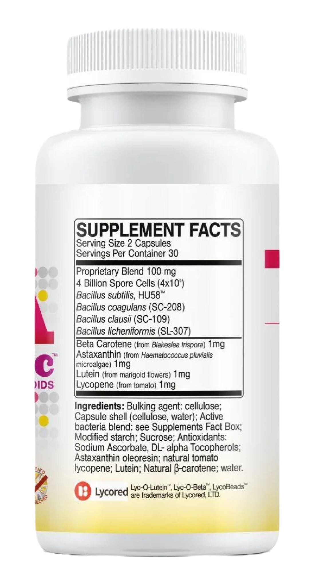 Buy MegaSporebiotic Plus Antioxidants | 60 Capsules UK