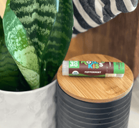 Buy Mongo Kiss Peppermint Organic Lip Balm UK