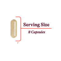 Buy Optimal Multivitamin (Formerly Multivitamin Plus) | 240 Capsules | Seeking Health UK