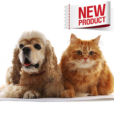 Buy OMI MINI MAT for humans & pets 24" x 16" PEMF UK