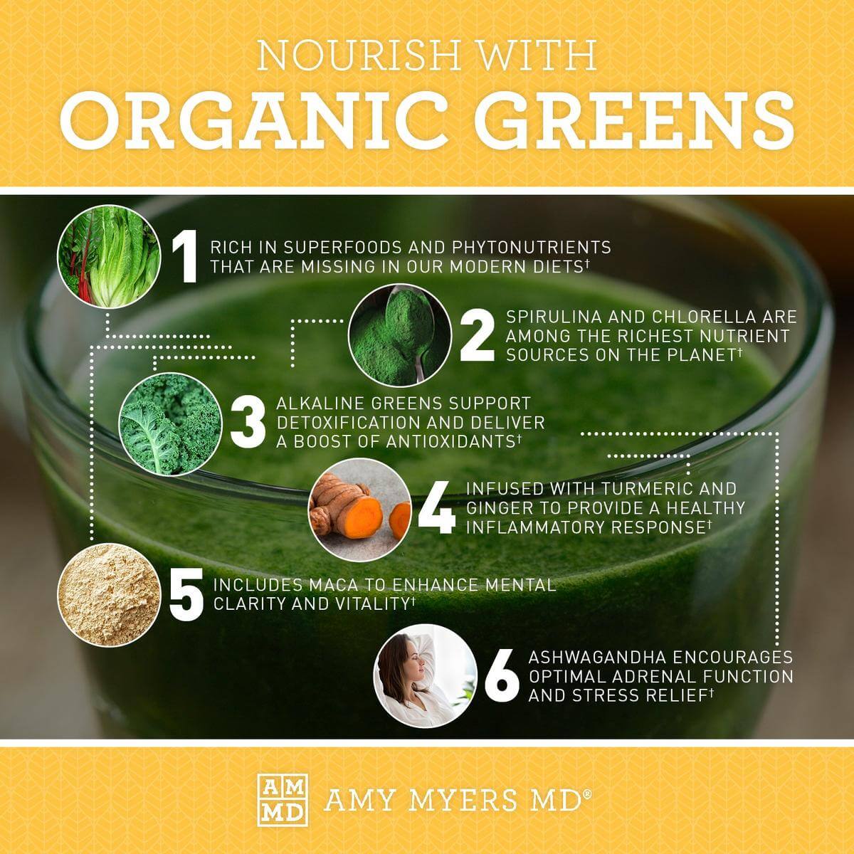 Buy Organic Greens 7 day pack | Amy Myers MD UK