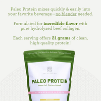 Buy Paleo Protein | Strawberries & Cream | 831g UK