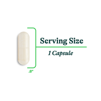 Buy ProBiota Bifidobacterium | 60 Capsules | Seeking Health UK