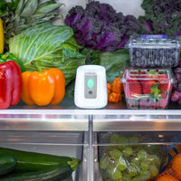 Buy pureAir FRIDGE Refrigerator Purification | Greentech Environmental UK