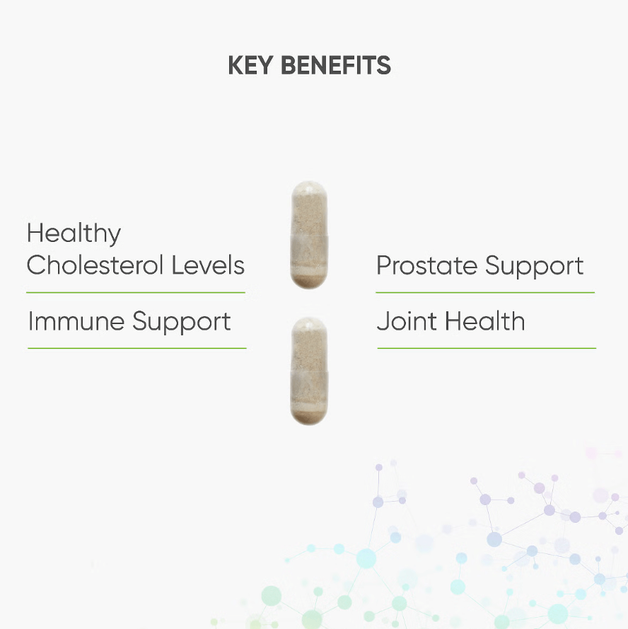 Buy Sterol 117 | 30 Capsules | High Potency Plant Sterols UK