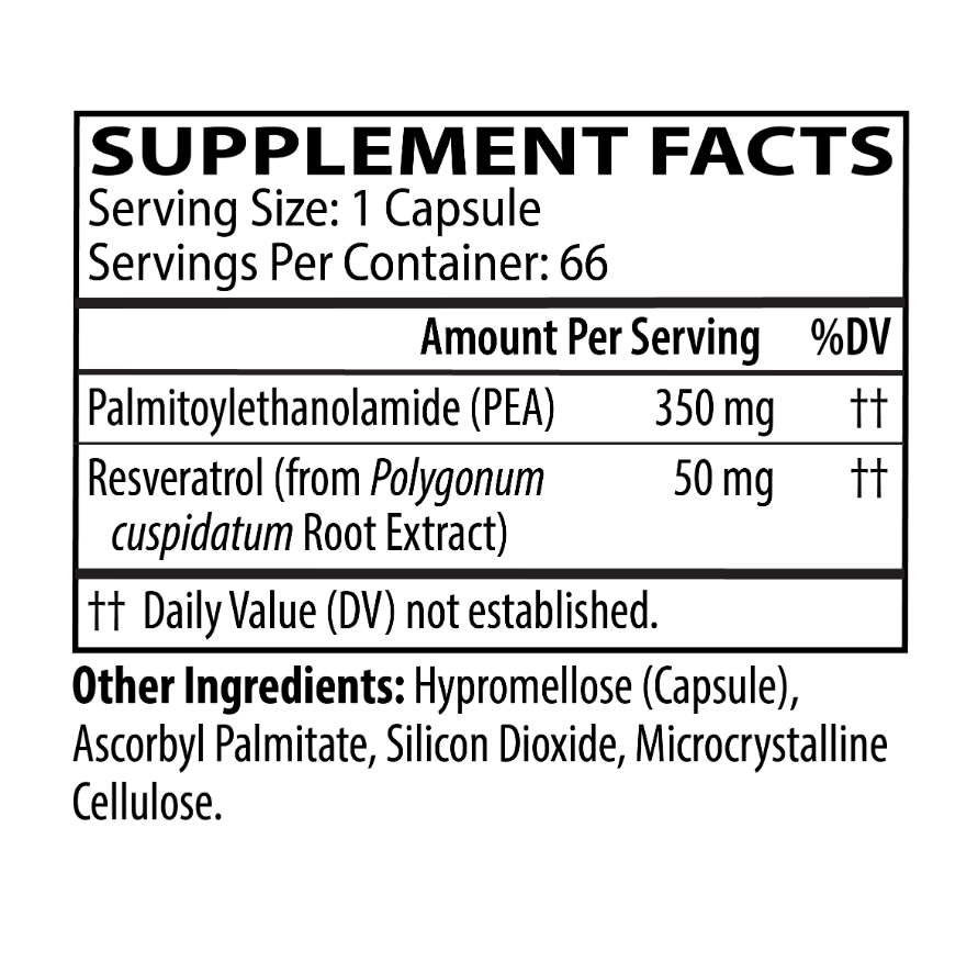 Buy Soothe Support Pro | PEA | 66 Capsules UK